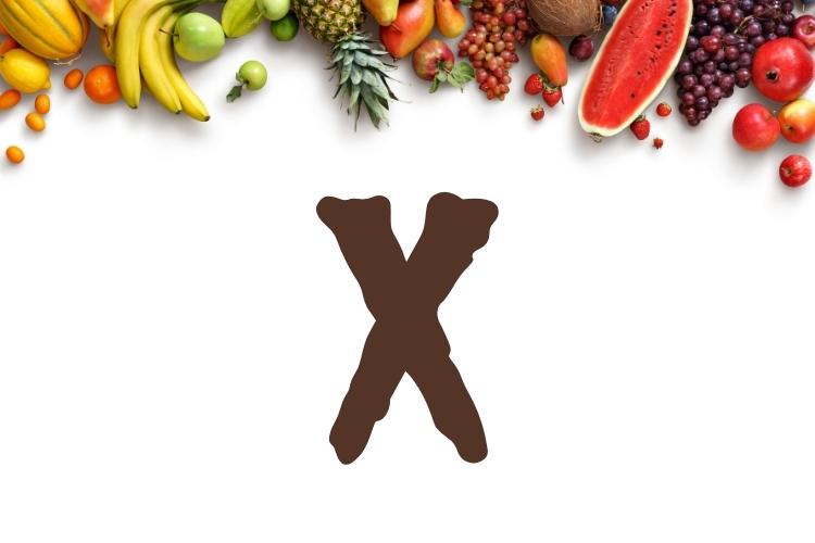 Frutas que começam com a letra X, da exótica Ximenia à rara Xangri-lá, numa jornada de sabores únicos e descobertas frutíferas.